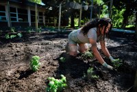 A woman in green shorts and a gray short-sleeved shirt with long brown hair digs in a garden while wearing garden gloves